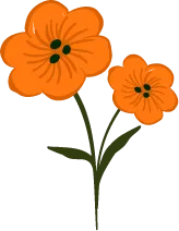 Orange Flowers