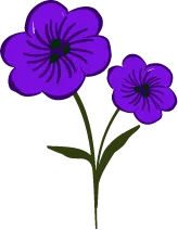 Purple Flowers