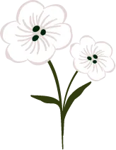 White Flowers