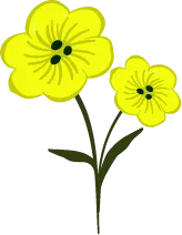 Yellow Flowers