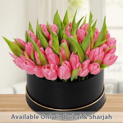 Tulips in a Box