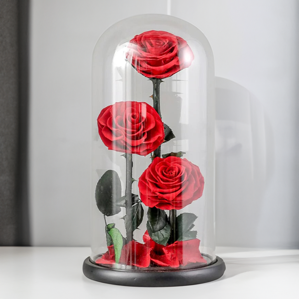 Three Red Forever Rose